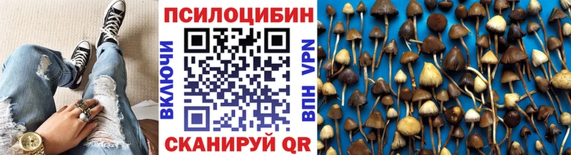 Галлюциногенные грибы мицелий  Купить  Иноземцево 